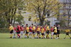 testbild