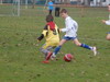 testbild