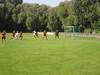 testbild